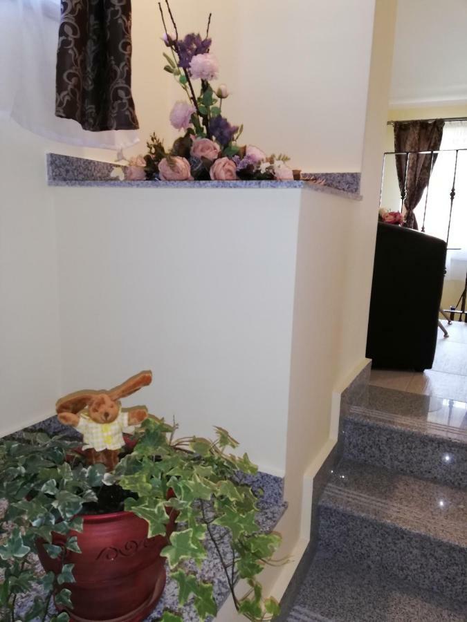 Casa Daomi Hotel Deva Bagian luar foto